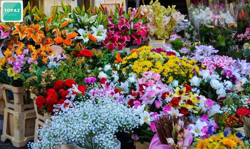 Chợ Đà Lạt - thiên đường hoa rực rỡ sắc màu
